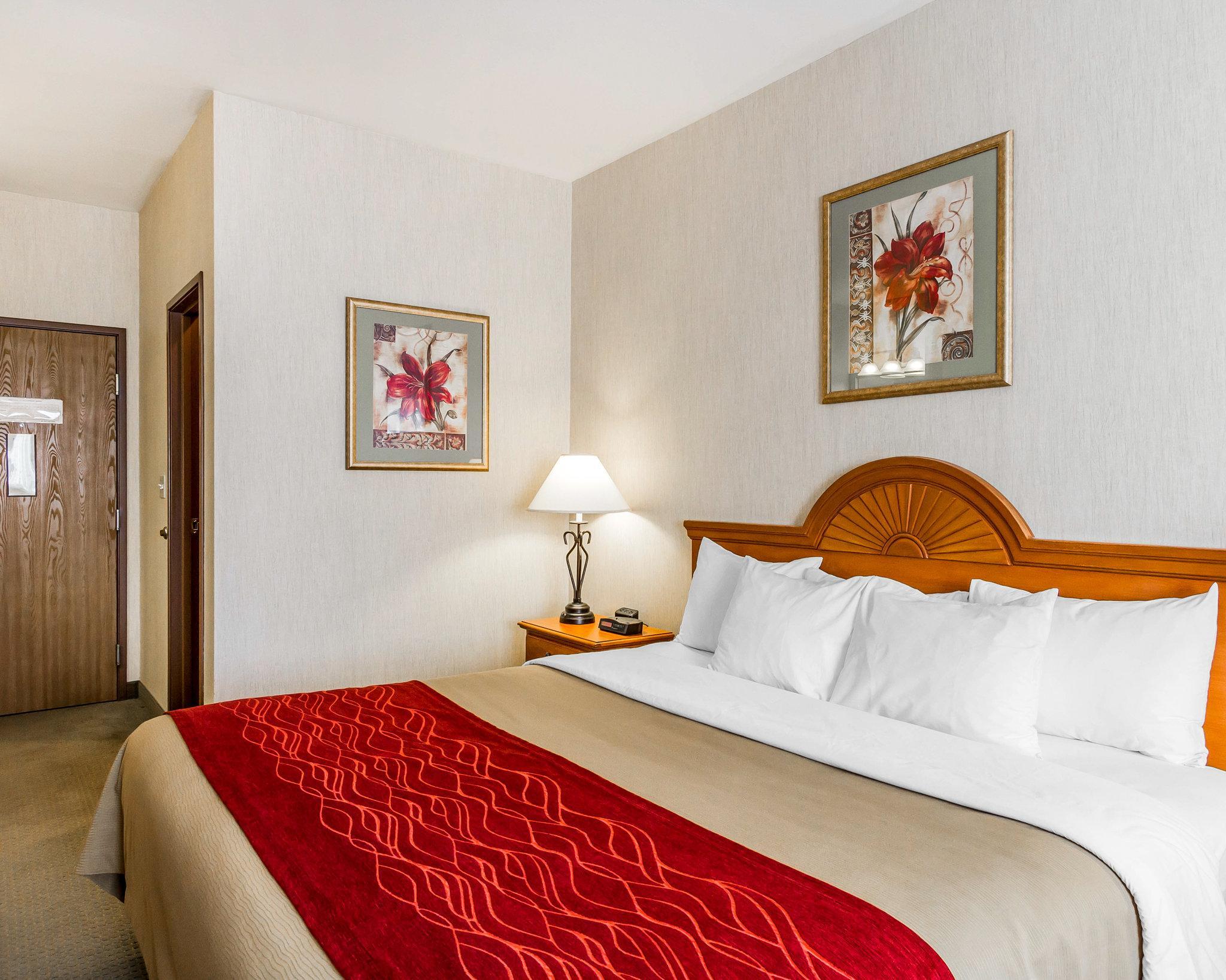 Comfort Inn Ellsworth - Bar Harbor Экстерьер фото