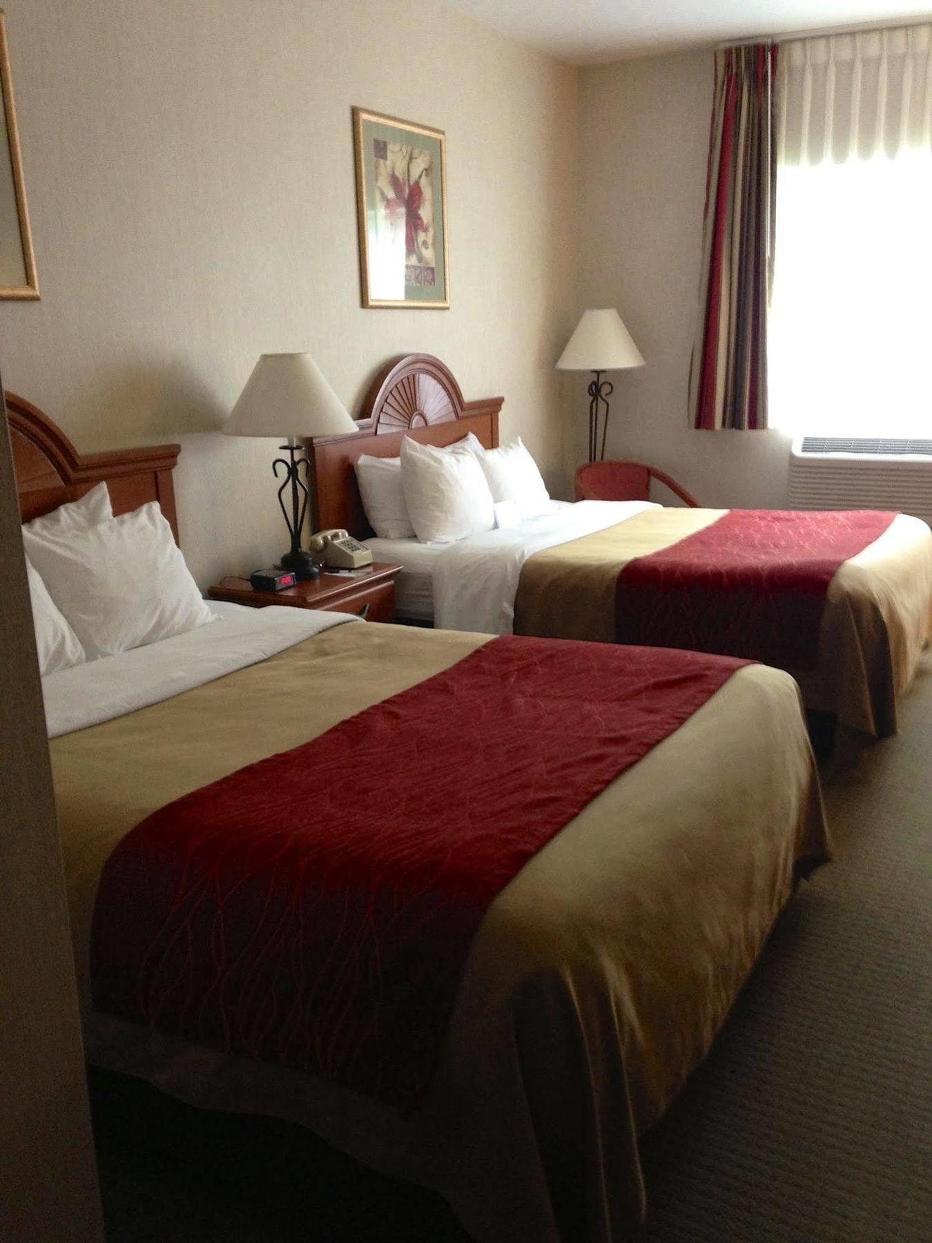 Comfort Inn Ellsworth - Bar Harbor Экстерьер фото
